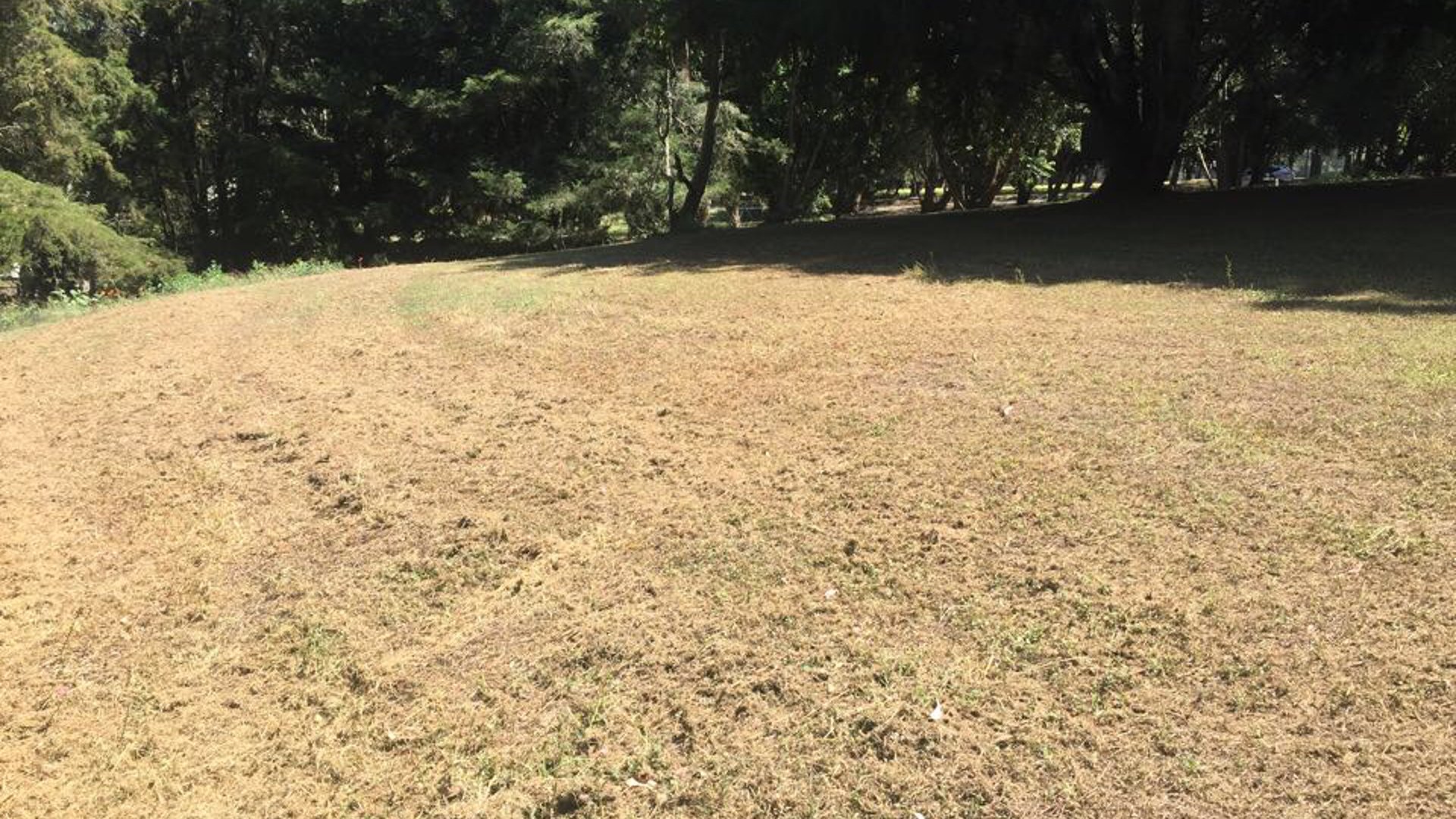 Vendo Terreno en Hacienda Nueva - Miniatura 8