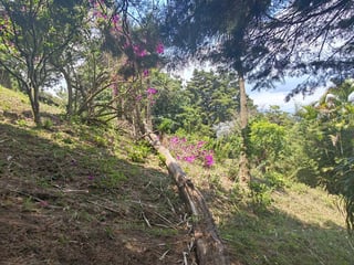 Terreno en venta Santa Elena Barillas Guatemala - Image 10