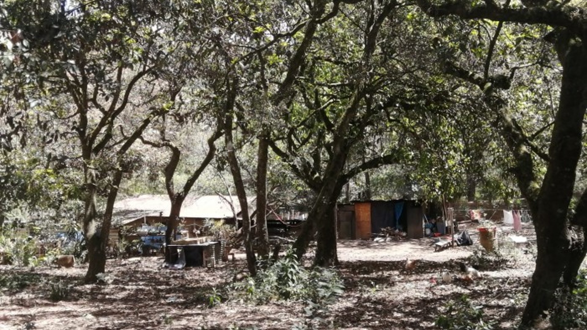 Finca en venta en San Lucas Sacatepéquez - Miniatura 3