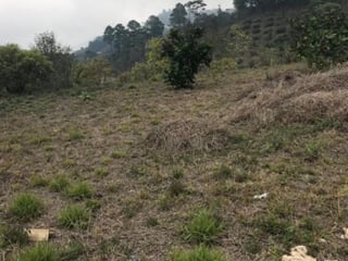 Venta de terreno dentro Residencial Cuilapa Santa Rosa - 2
