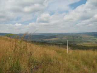 Venta Terreno Km 39 carr. Salvador Colina Encantada - 5