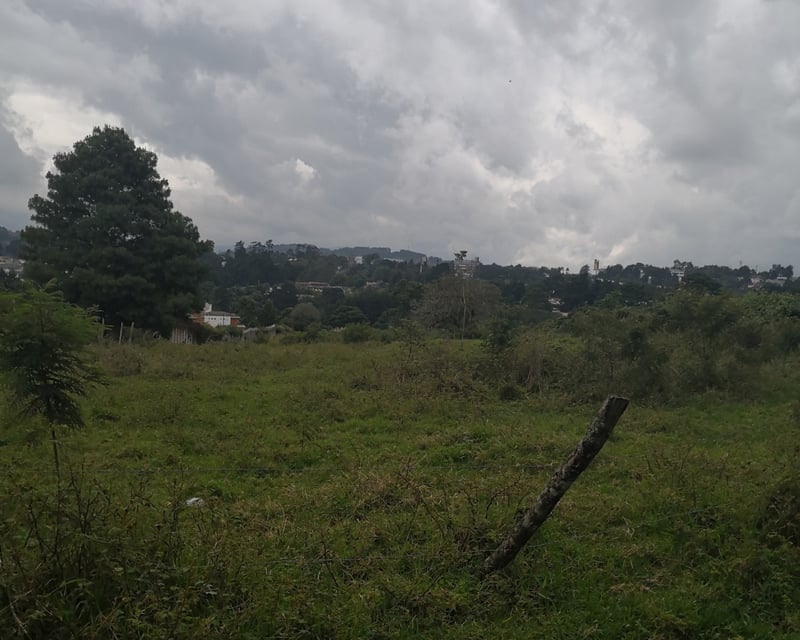 Terreno en Venta en Muxbal