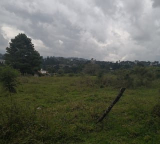 Terreno en Venta en Muxbal