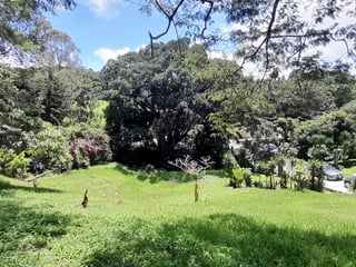 Vendo Terreno En San Germán Del Bosque Fraijanes KM 20.5 - 3
