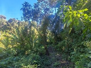 Finca en Venta de 9 manzanas en Fraijanes Guatemala - Image 6
