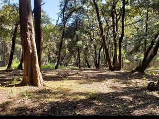 Terreno en Venta – cerca de Colonia Las Hojarascas | zona 7 - 3