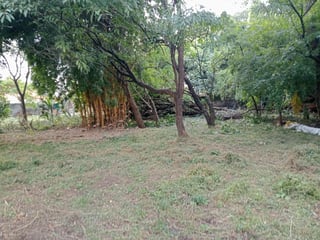 TERRENO EN VENTA – GUAJITOS, LOMA BLANCA | ZONA 21 - 3