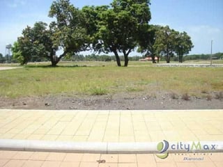 TERRENO EN VENTA EN CARRETERA A PUERTO QUETZAL - 2
