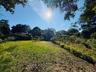 ALQUILER DE AMPLIO TERRENO RURAL - SANTA LUCIA MILPAS ALTAS - Image 19