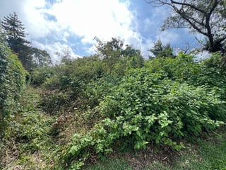 Venta de lindo terreno plano | Sausalito, Km 21 Carr. a Fraijanes - 2