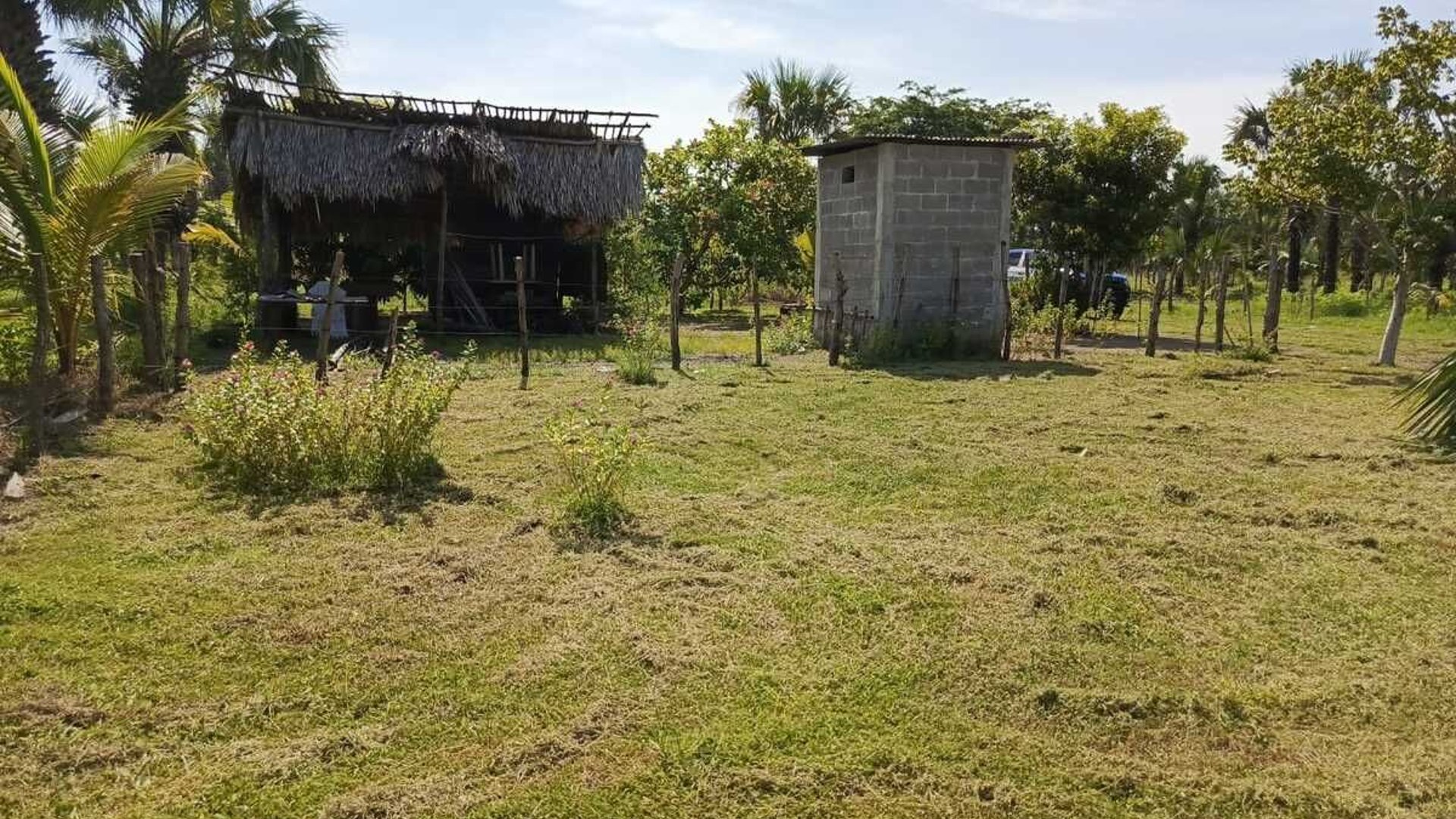 GANGA TERRENO EN VENTA – ALDEA EL CEBOLLITO, HAWÁI CHIQUIMULA - Miniatura 9