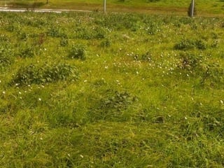 ✦ Terreno exclusivo en venta – Km. 16 Carretera a El Salvador, Las Alturas - 2