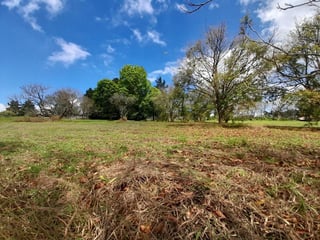 TERRENO EN VENTA EN CONDOMINIO KM 16.5 CARRETERA EL SALVADOR VCAMINO A OLMECA - 3