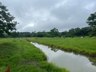 Finca en Venta – San José, Petén - 3