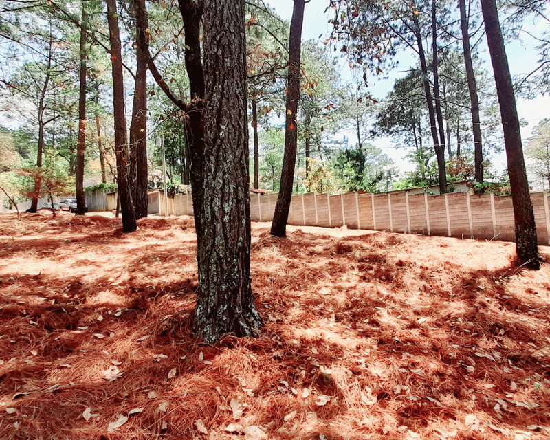 Terreno en Venta en Santo Domingo Xenacoj Sacatepequez