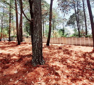 Terreno en Venta en Santo Domingo Xenacoj Sacatepequez