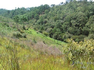 Vendo terreno en San Pedro Sacatepéquez - 5