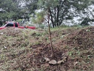 TERRENO EN VENTA EN GRANJA BUENOS AIRES - 3