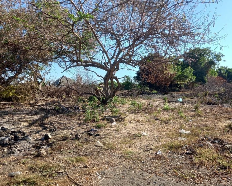 Terreno en Venta Camino a Monterrico  Taxisco, Santa Rosa
