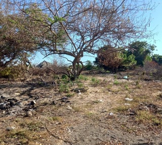 Terreno en Venta Camino a Monterrico  Taxisco, Santa Rosa