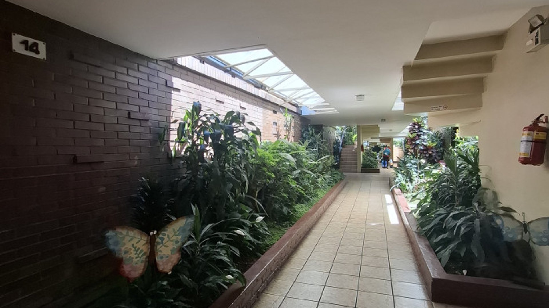 Casa en renta en zona 10 Bulevar Los Próceres - Miniatura 3