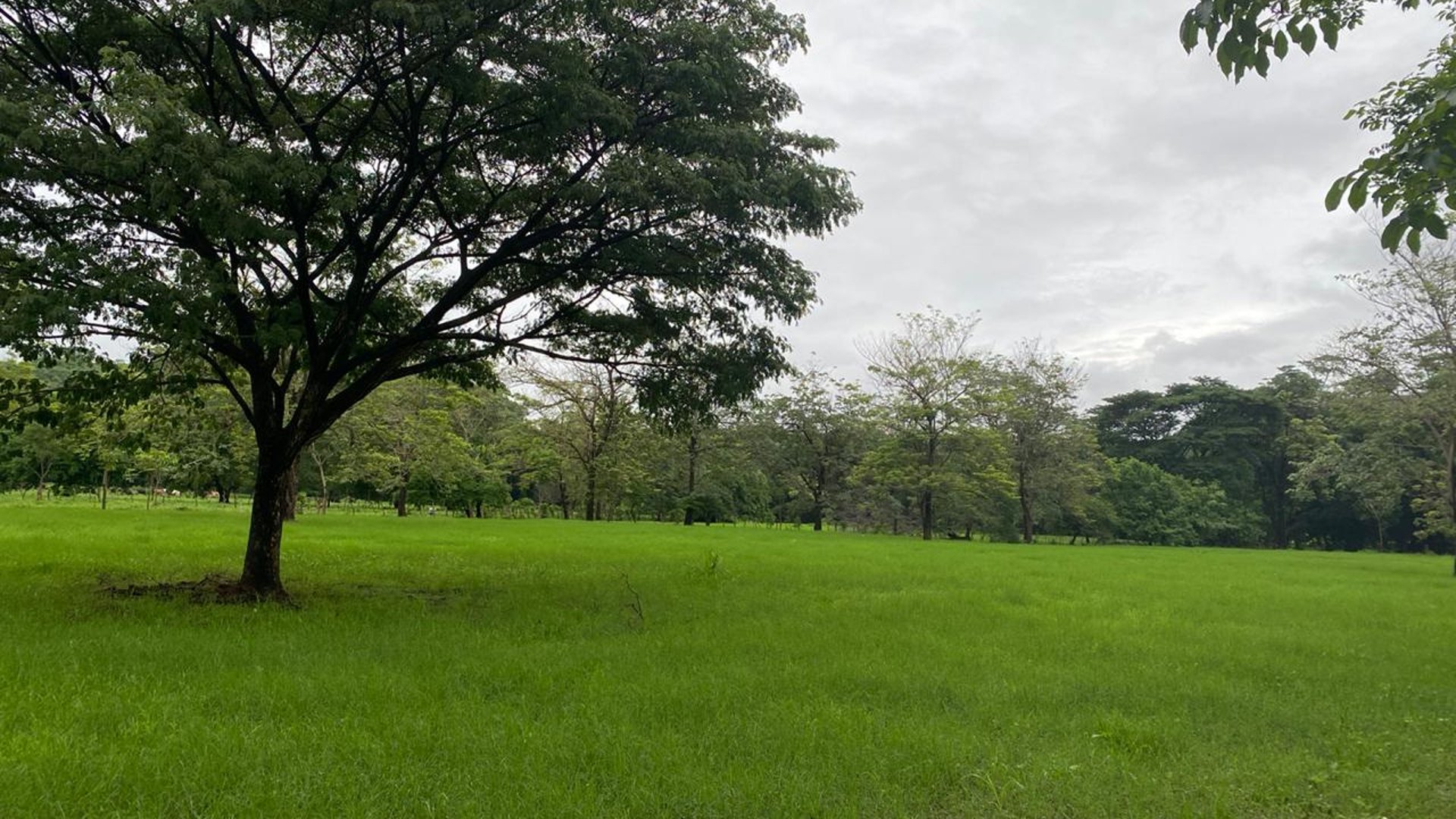 FINCA EN SANTA ROSA - Miniatura 6