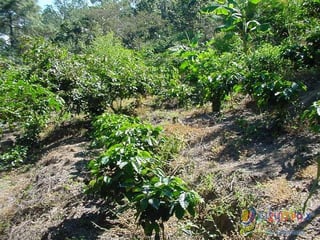 Vendo Finca Rustica en San Pedro Ayampuc - 2