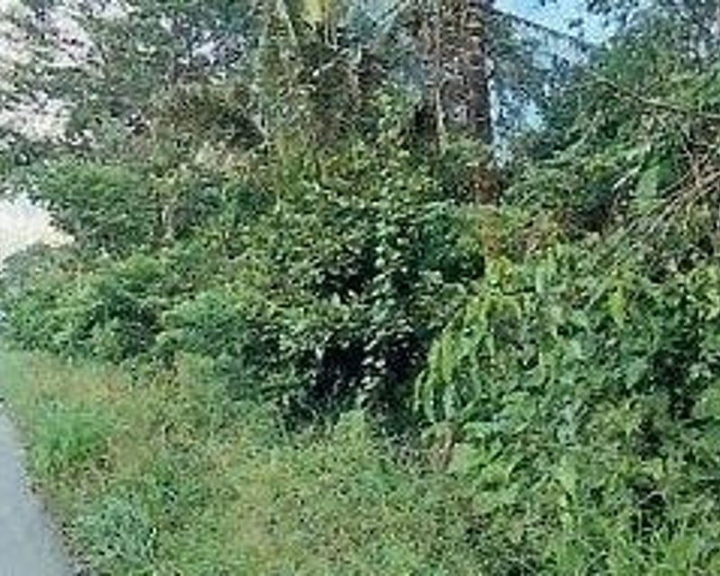 FINCA EN VENTA | IDEAL PARA DESARROLLO COMERCIAL | PUERTO BARRIOS, IZABAL