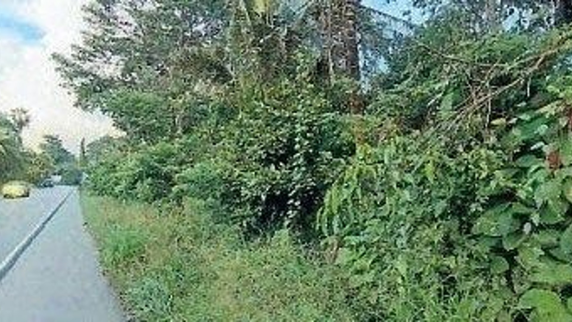 FINCA EN VENTA | IDEAL PARA DESARROLLO COMERCIAL | PUERTO BARRIOS, IZABAL