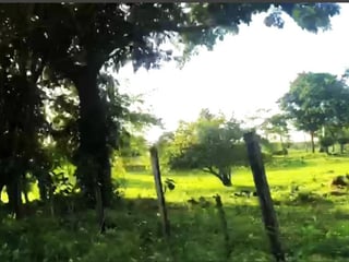 Terreno en Venta en La Libertad, Peten - Image 6