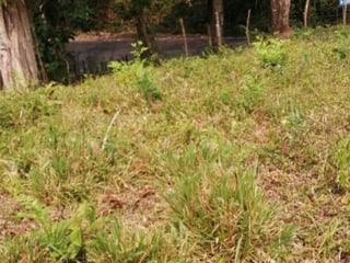 Terreno en Venta Los Amates Izabal, Guatemala - 3