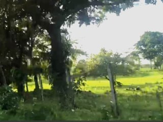 Terreno en Venta en La Libertad, Peten - Image 4