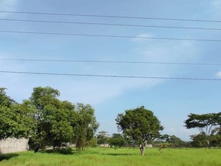 Terreno en VENTA  Parque Industrial en Escuintla - 4