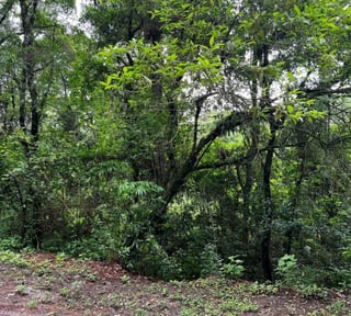 Terreno en Venta en zona 7 el Encinal