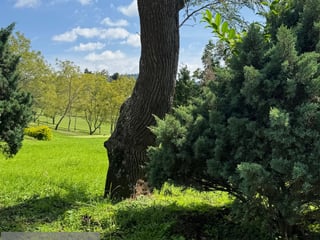 CLUB SAN ISIDRO / Terreno frente al campo en Venta, zona 16 - 3