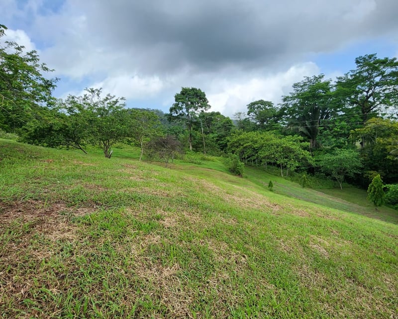 VENTA TERRENO EN LA ENTRADA A PUERTO BARRIOS