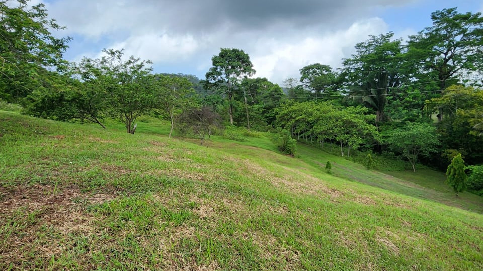 VENTA TERRENO EN LA ENTRADA A PUERTO BARRIOS