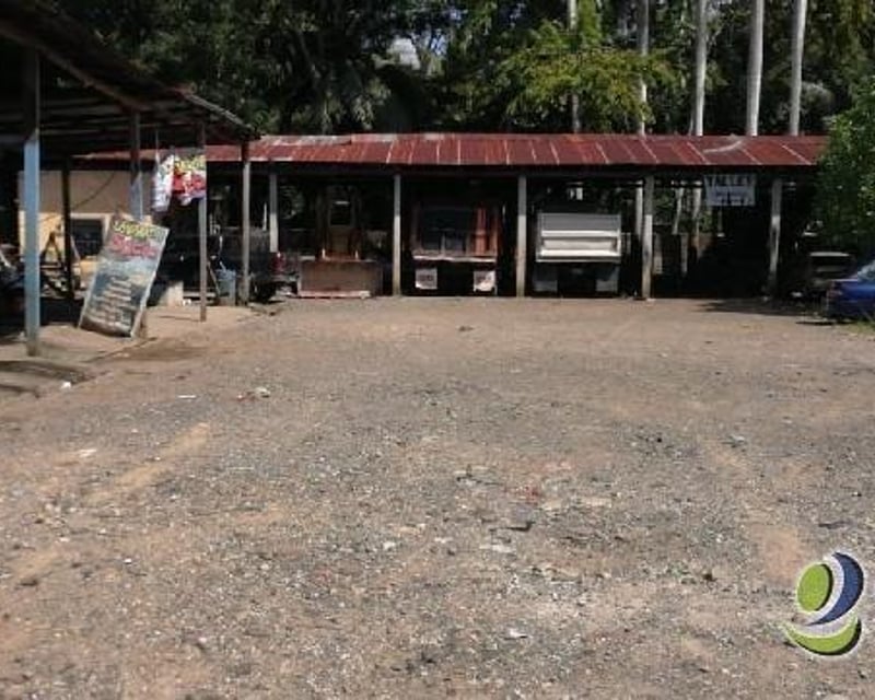 Terreno en renta a orilla de carretera en Río Dulce