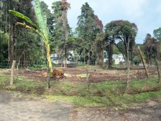Terreno Residencial en Venta El Encinal Tronco 2 Mixco - 3