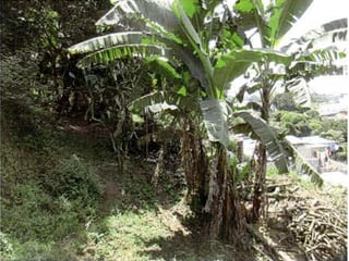 Terreno para desarollo en venta, Santa Catarina Pinula - 5
