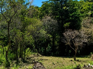 Excelente Terreno En Venta En Rancho Verde,Carretera al salvador - 5