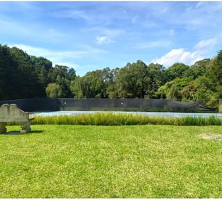 TERRENOS A LA VENTA EN CASA Y CAMPO/ CES