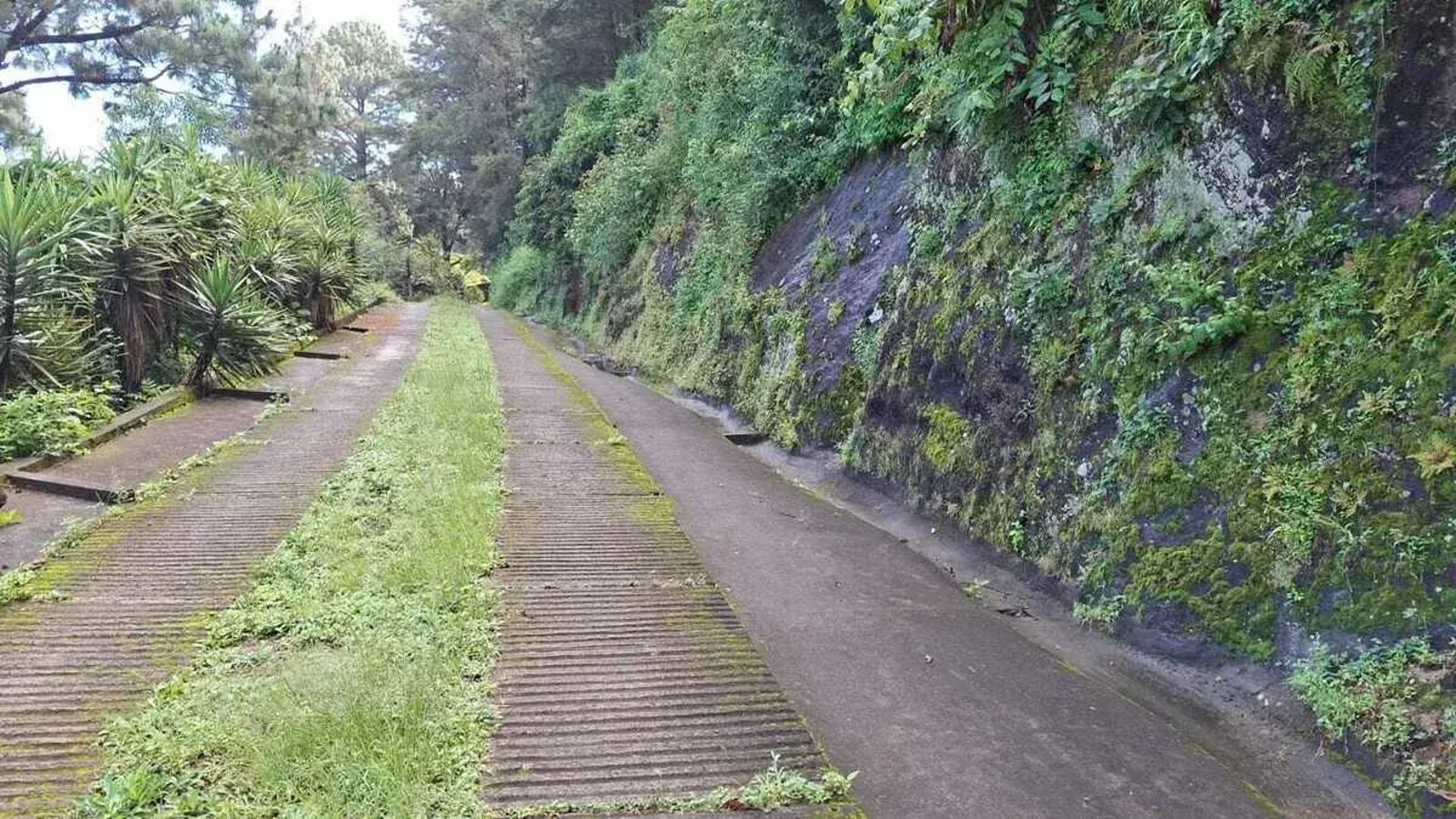 TERRENO EN VENTA – SANTA CATARINA PINULA - Miniatura 4