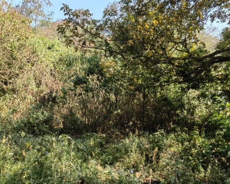 Venta de terreno en San Lucas camino a Manzanillo