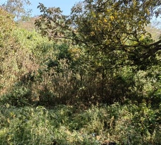 Venta de terreno en San Lucas camino a Manzanillo