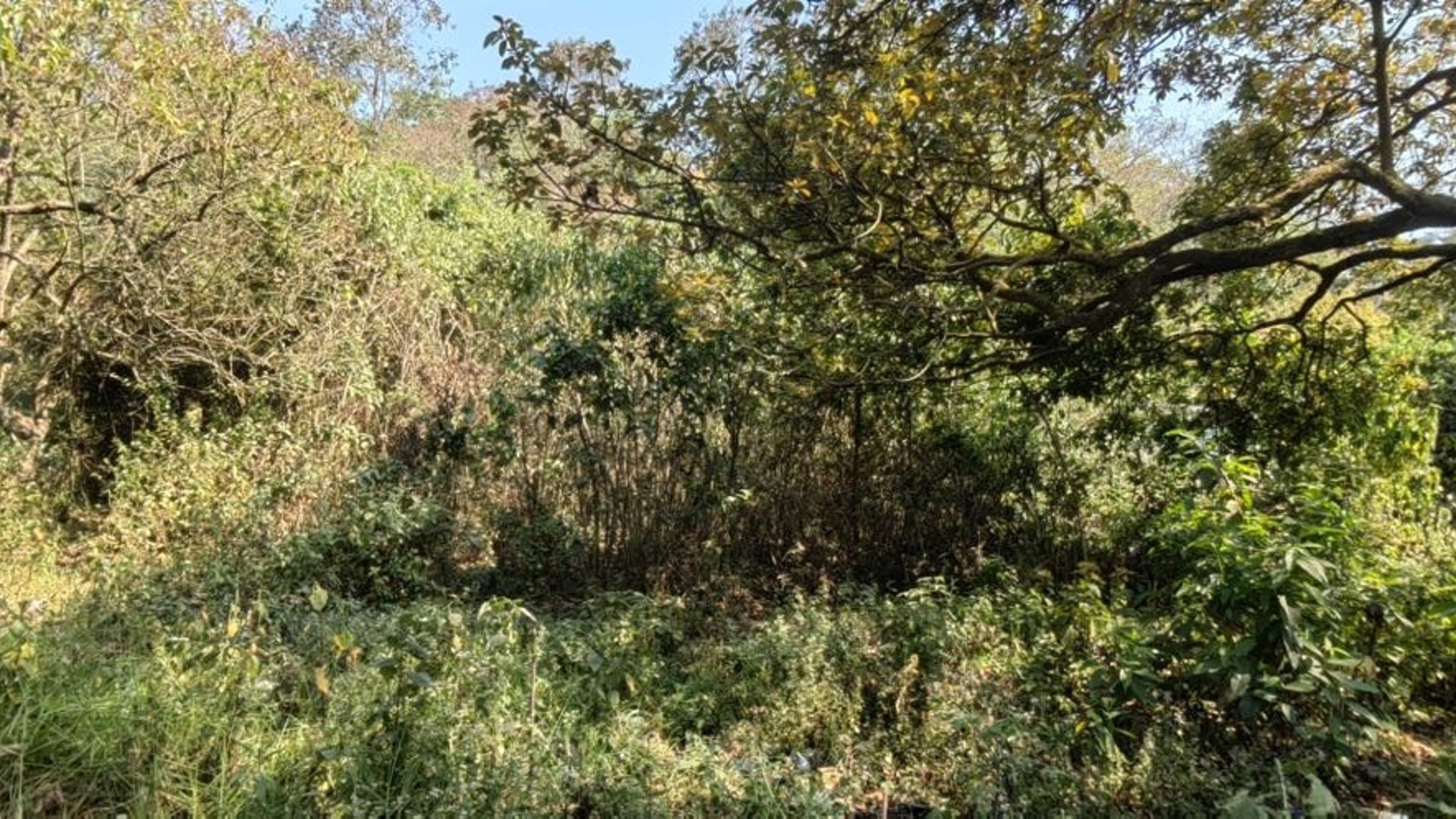 Venta de terreno en San Lucas camino a Manzanillo