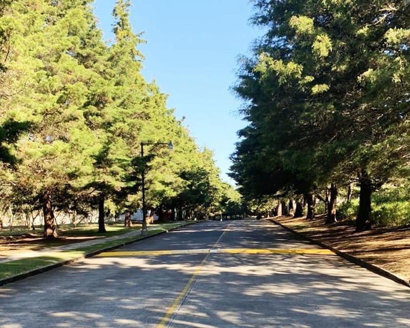 Terreno Venta | CAES KM 23.5