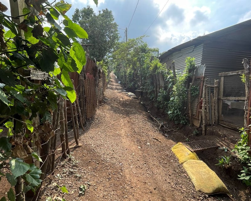 Terreno en venta Villa Canales Jocotillo