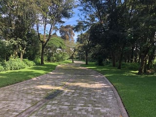 Terreno en VENTA en Santa Elena del Lago - 3