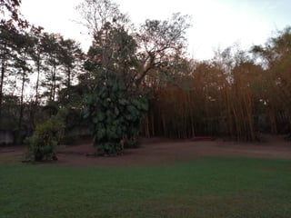 CABAÑA DE CAMPO EN LA LAGUNA DEL PINO  - 5